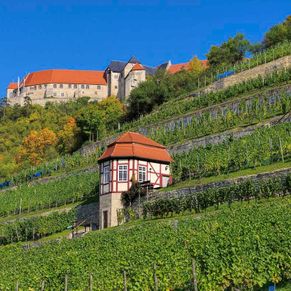 Ausflugstipps in der Umgebung von Ferienwohnungen im Ferienhaus Schlag im Weindorf Roßbach bei Naumburg im Saale-Unstrut-Weinanbaugebiet