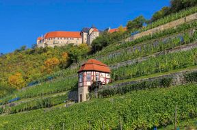 Ausflugstipps in der Umgebung von Ferienwohnungen im Ferienhaus Schlag im Weindorf Roßbach bei Naumburg im Saale-Unstrut-Weinanbaugebiet