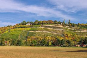 Ausflugstipps in der Umgebung von Ferienwohnungen im Ferienhaus Schlag im Weindorf Roßbach bei Naumburg im Saale-Unstrut-Weinanbaugebiet
