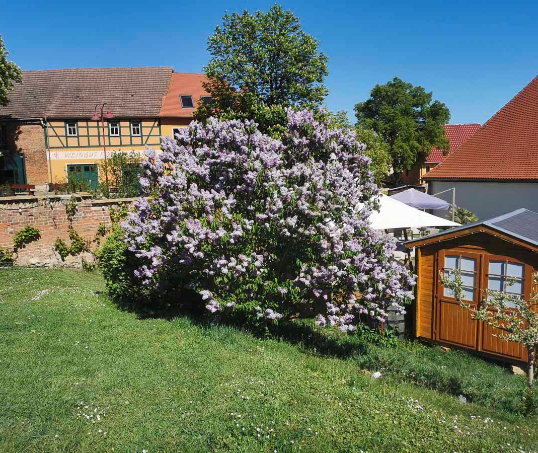 Fotos - Ferienwohnungen im Ferienhaus Schlag im Weindorf Roßbach bei Naumburg im Saale-Unstrut-Weinanbaugebiet